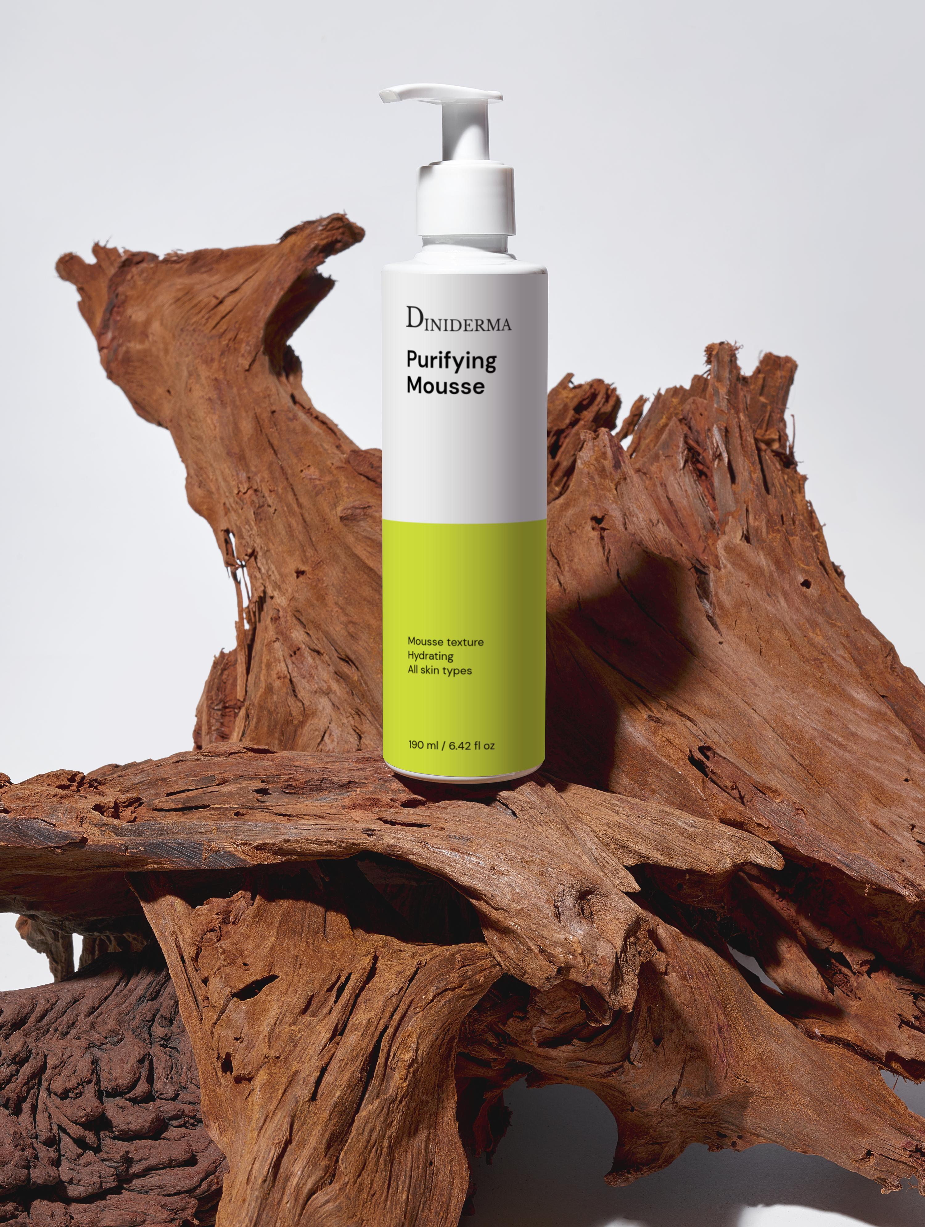 Purifying Mousse 100mls